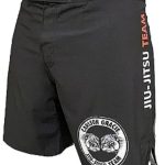 SHORT FIGHT
